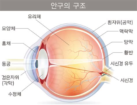 Image result for Alien Lens Sunglasses