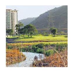Damani Group