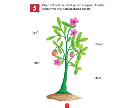 JoGenii |Plants & Trees Activity Book | Pegasus