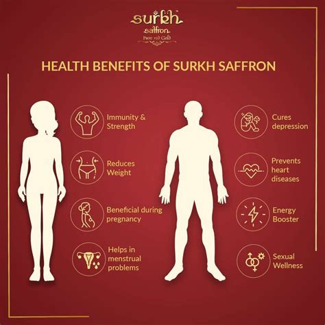 SURKH Saffron - 50 Grams - Premium Pack - 100% Pure Natural Untouched ...