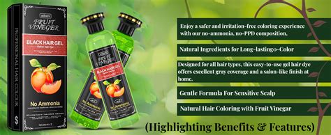 Buy Adbeni Fruit Vineger Gel Hair Color, Black | Natural Hair Dye for ...