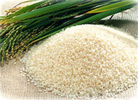粳米是什么米？和大米的区别在哪 - 农敢网