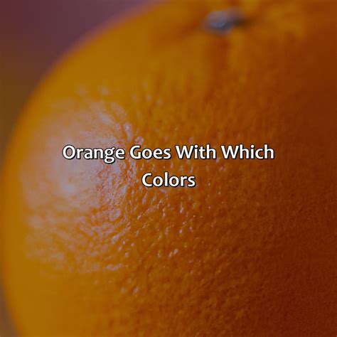 Orange Goes With What Color - colorscombo.com