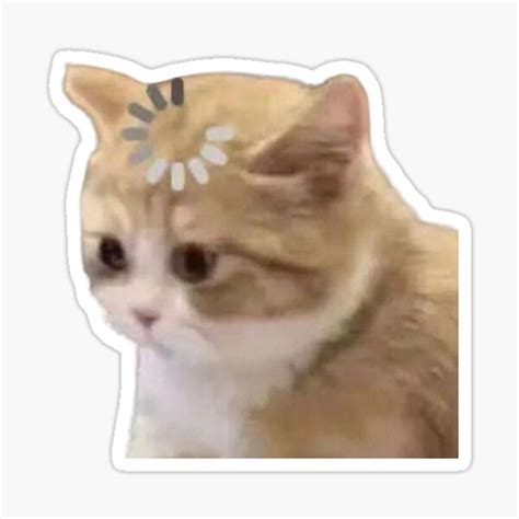 "confused loading cat meme" Sticker for Sale by artsypatterns | Redbubble