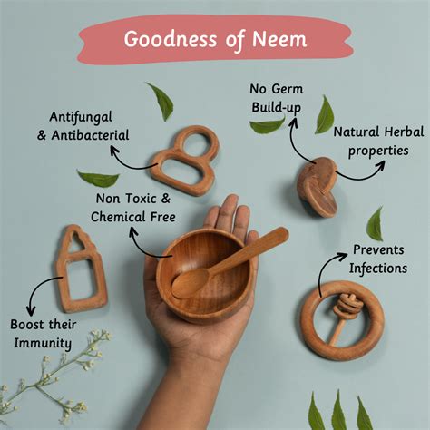 Neem Montessori Kit|Safe Wooden Toys for Infants 3-6Months Ariro ...