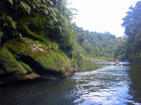 BLUE DUCK STATION (Owhango) - Hostel Reviews & Photos - Tripadvisor