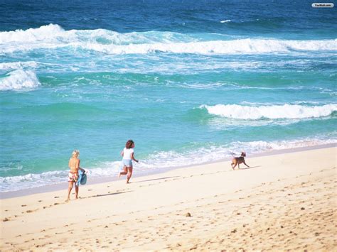 🔥 [40+] People on Beaches Wallpapers | WallpaperSafari