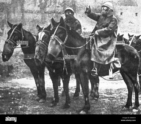 World War 1 Gas Mask Horse