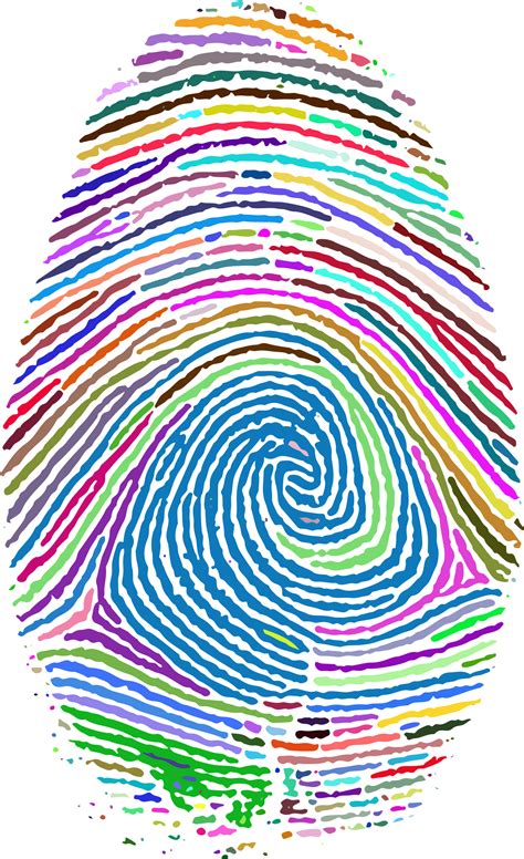 Fingerprint Footprint Clip art - finger print png download - 1406*2302 ...