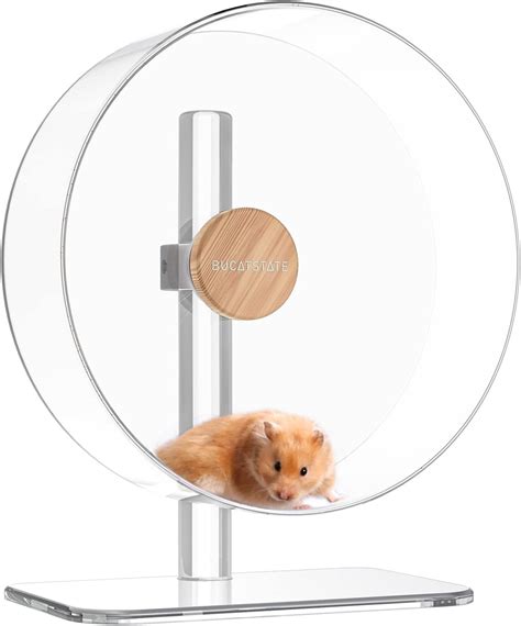 Can A Hamster Wheel Be To Big at Ryan Knight blog