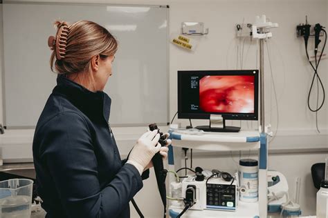 Internal Medicine Services | Oncology | Eden Veterinary Referrals