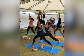 Here are 7 Bengaluru events to keep you busy this weekend (June 20 to ...