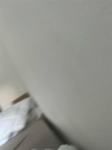 Drake meat Leak REAL : r/mydrake