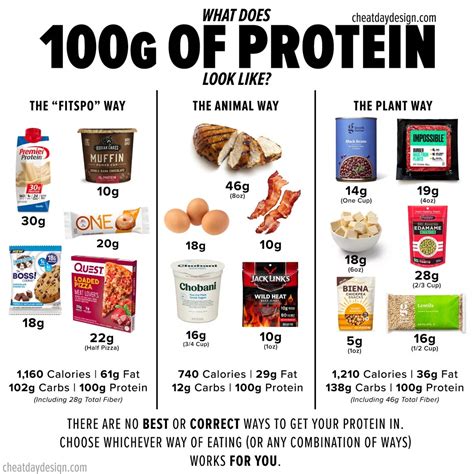 A Visual Guide to Getting 100 Grams of Protein Daily for Every Type of ...