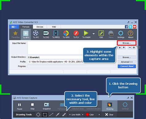 Image result for AVS Screen Capture