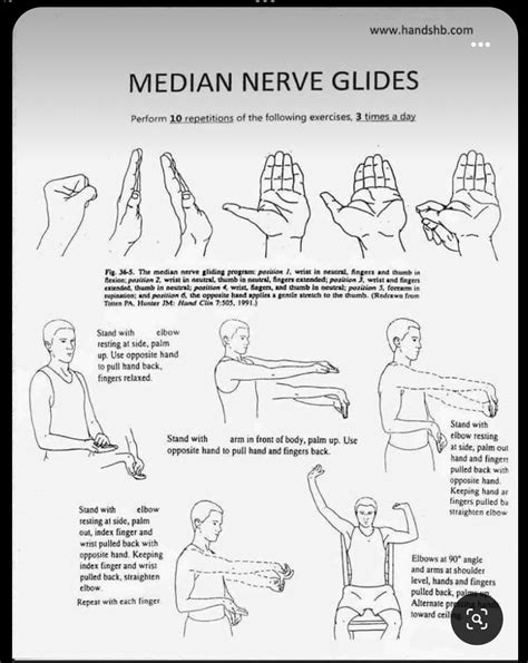 Pin by sandra k on OT in 2025 | Hand therapy exercises, Physical therapy exercises, Physical therapy