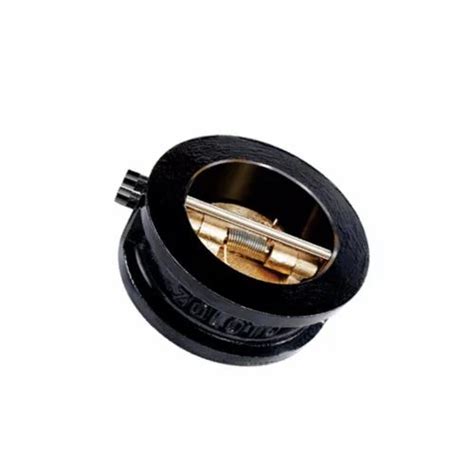 Dual Plate Check Valve - Zoloto Cast Iron Dual Plate Wafer Type Check ...