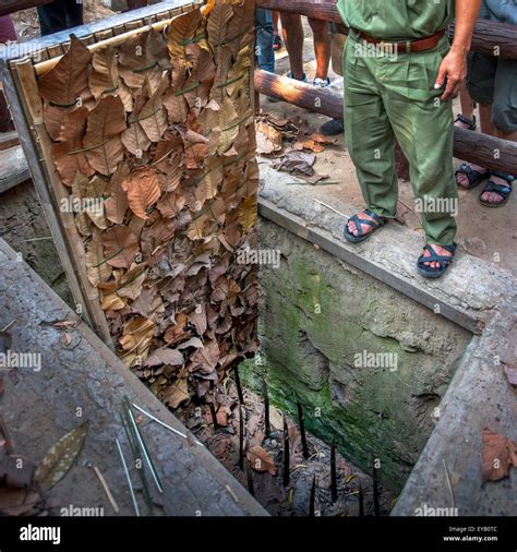 A tiger trap at the Cu Chi Tunnels in Vietnam Stock Photo - Alamy
