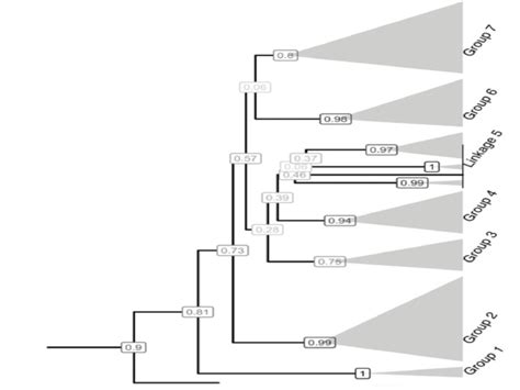 Dialect Continuum 的图像结果