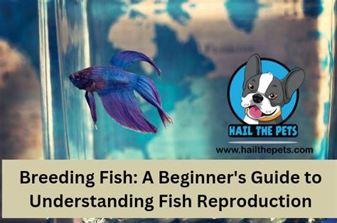 Image result for Fish Breeding