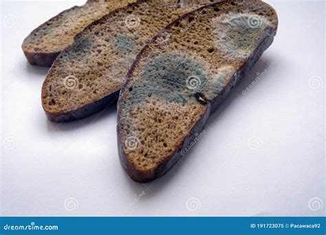 Fungus on Bread, Mold on Bread Covered with Fungus, a Piece of Rye ...