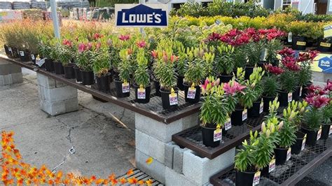 Image result for Lowe's Flower Garden
