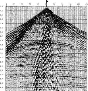 Image result for Basic Seismic Processing