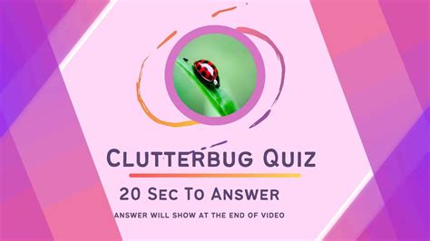 Image result for Clutterbug Quizzes