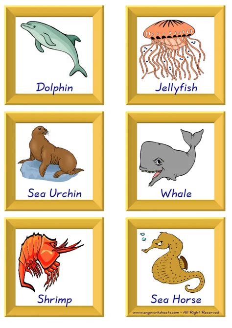 Sea Flashcard 的图像结果