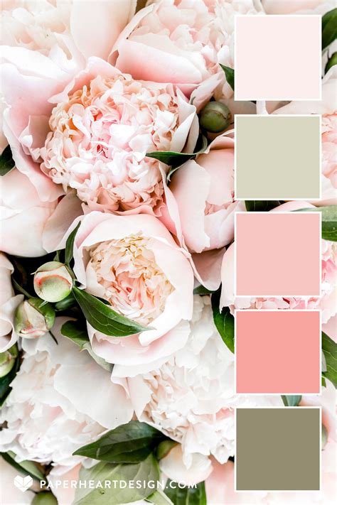 Blush Pink + Sage Green Peony Color Palette | Color palette pink, Color ...