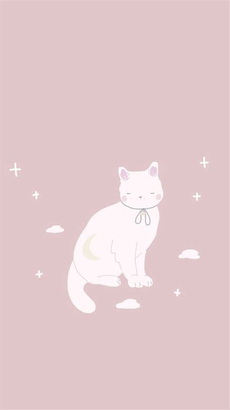 Image result for Cat Taking Using Computer