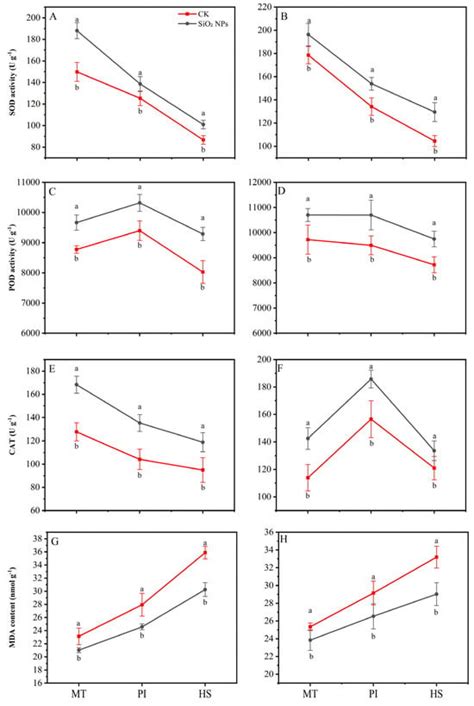 Application of Silica Nanoparticles Improved the Growth, Yield, and ...