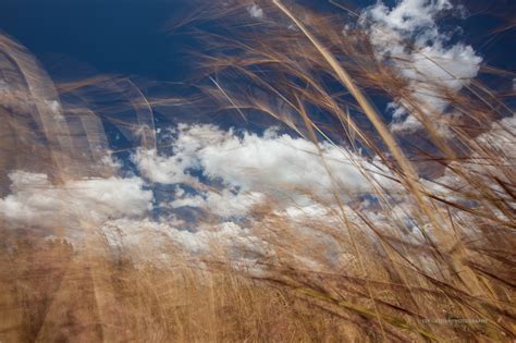 Environment Photography 的图像结果