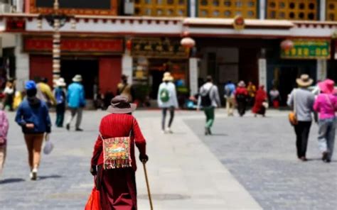 2019年西藏自治区国民经济和社会发展统计公报_西藏自治区人民政府