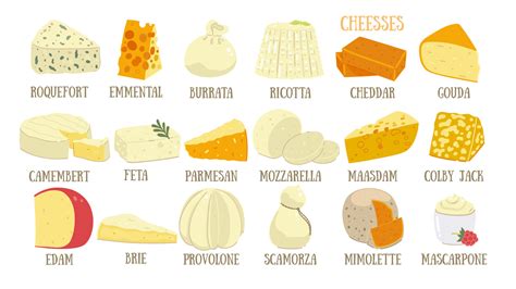 Different Types Cheese List 的图像结果