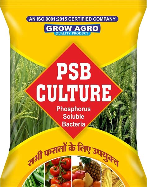 Phosphate Solubilizing Bacteria: PSB BIOFERTILIZER; growth booster and ...