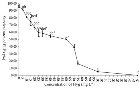 Ovule Development and in Planta Transformation of Paphiopedilum Maudiae ...