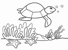 malvorlagen unterwasser tiere um wellcome to image archive ausmalbilder unterwasser malvorlagen unterwasser tiere um wellcome to image archive ausmalbilder unterwasser