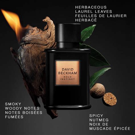 David Beckham Bold Instinct Eau de Parfum for Men - Woody Aromatic ...