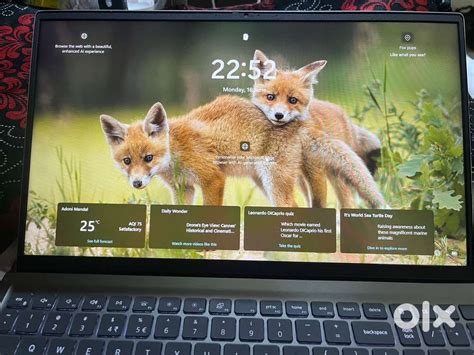 Windows 11 - Computers & Laptops - 1812282106