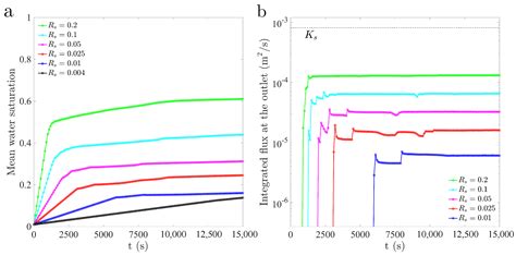 Numerical Simulation of Unstable Preferential Flow during Water ...