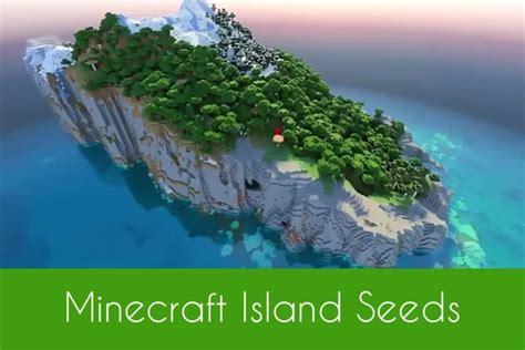 Image result for Minecraft Seeds Java Small Swamp