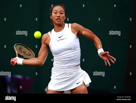 Tennis Zheng Qin Wen 的图像结果