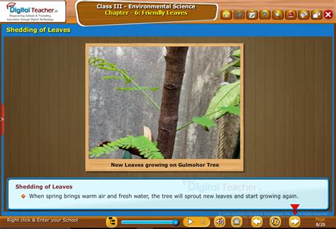 Infographics | Environmental Science | Digital Teacher