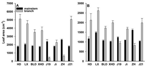 High Soybean Yield and Drought Adaptation Being Associated with Canopy ...