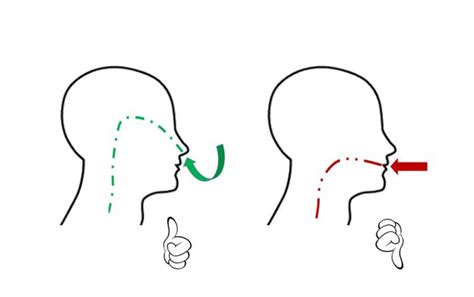Beneficios de la respiración nasal frente a la bucal