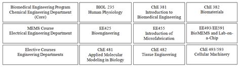 BioMEMS and Lab-on-a-Chip Course Education at West Virginia University
