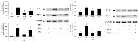 Cordyceps militaris Grown on Germinated Rhynchosia nulubilis (GRC ...
