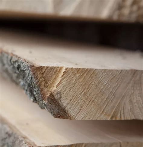 Image result for Boolean Data Code for Arduino Programming