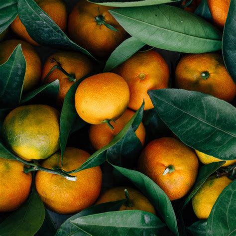 Arata Official Website | Buy Natural Skin & Hair Care Products